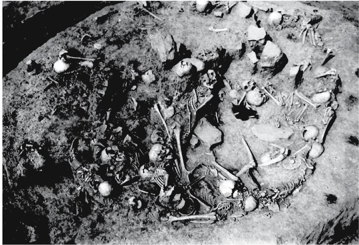 Yacimiento de Gomolava, en Serbia.