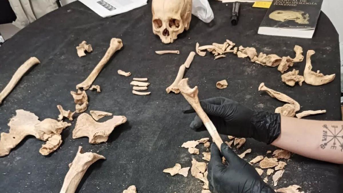 Análisis efectuados en el laboratorio por el equipo de investigación arqueológica de la Universidad Isabel I.