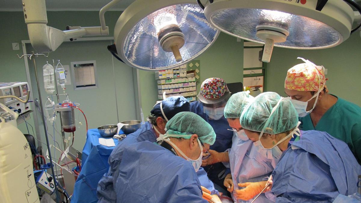 Momento de la realización de un trasplante en el centro hospitalario Doctor Negrín.