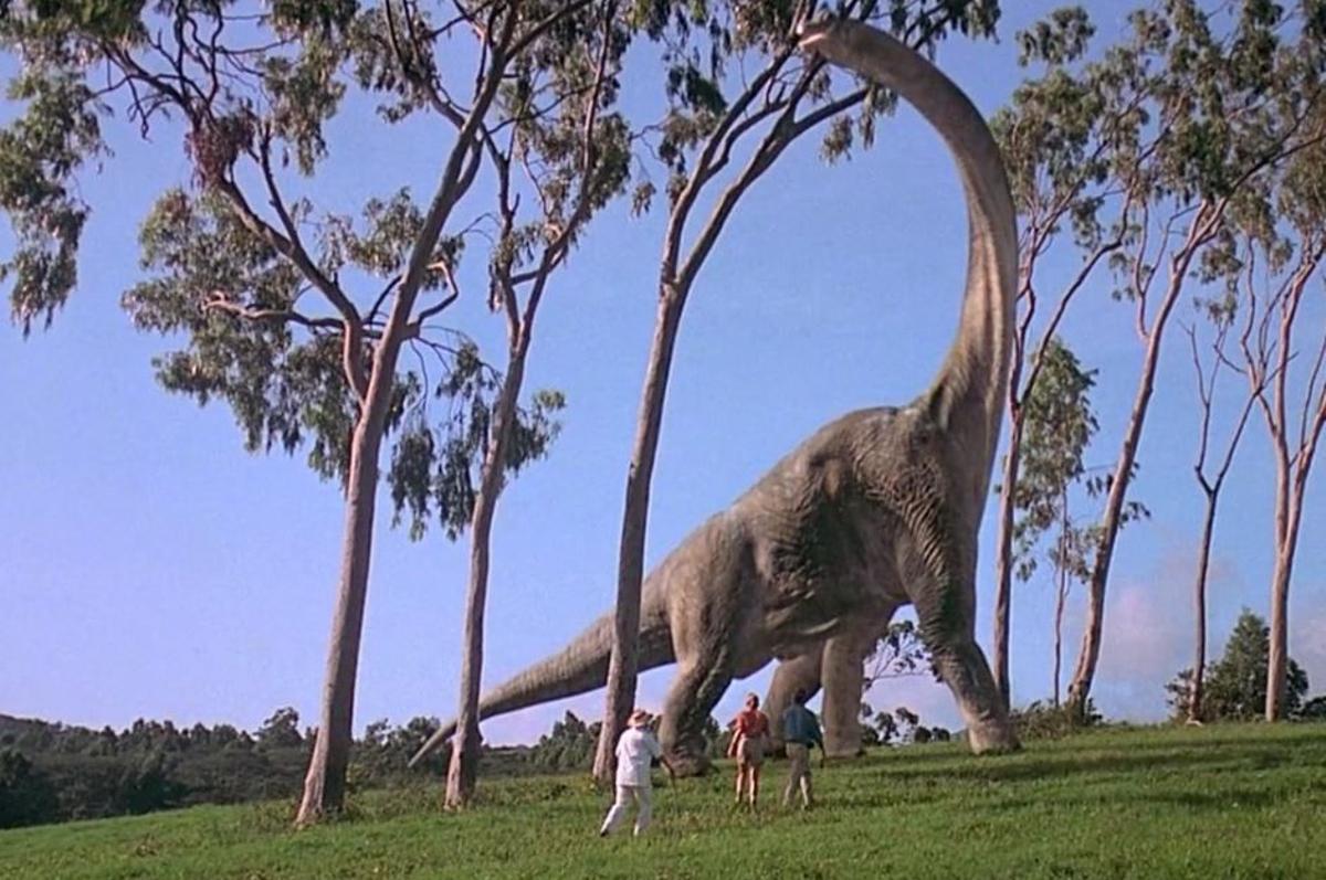 Fragmento de la película Jurassic Park en el que aparece por primera vez 'Brachiosaurus'.