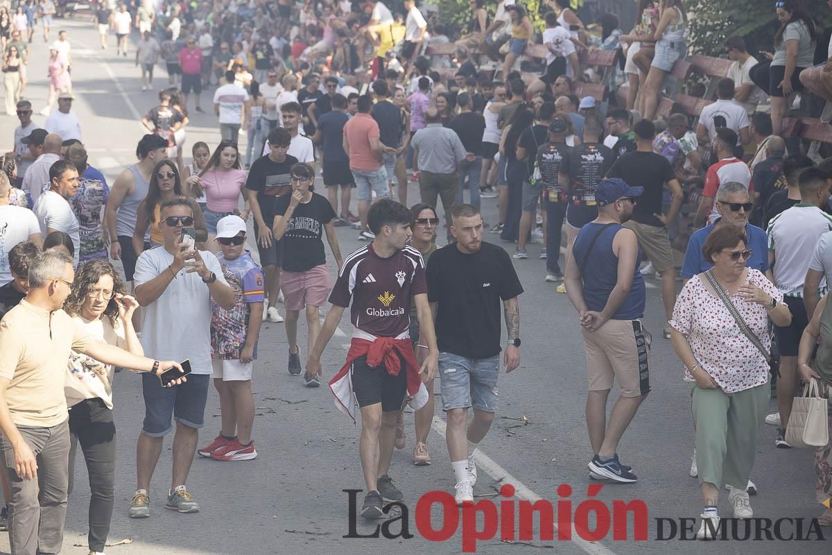 El segundo encierro de las Fiestas de Moratalla se salda con un herido