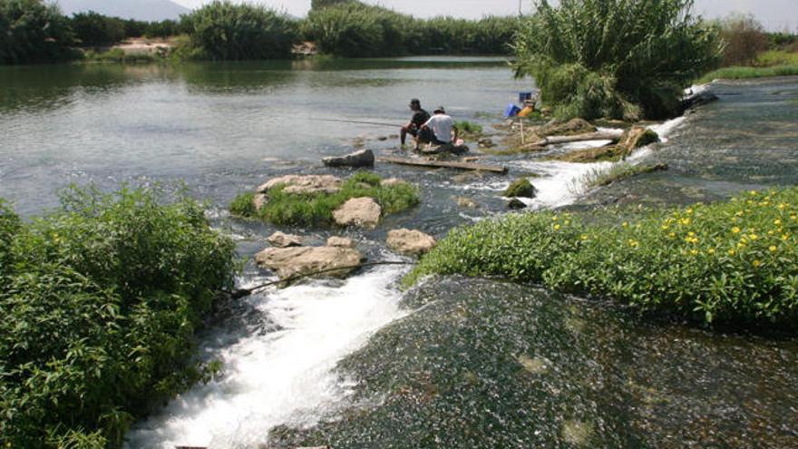 El Gobierno descarta el trasvase del agua de Cullera para consumo urbano por contener plaguicidas