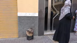 "Si los bomberos tardan cinco minutos más, estaríamos muertos"