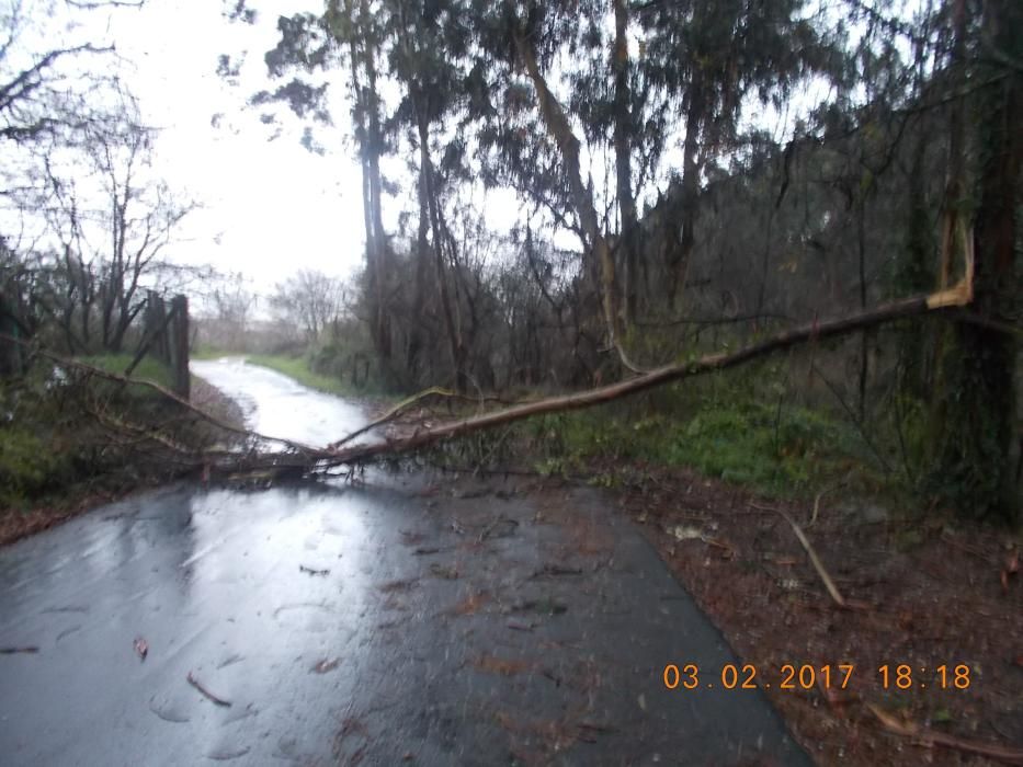 Efectos del temporal en O Morrazo