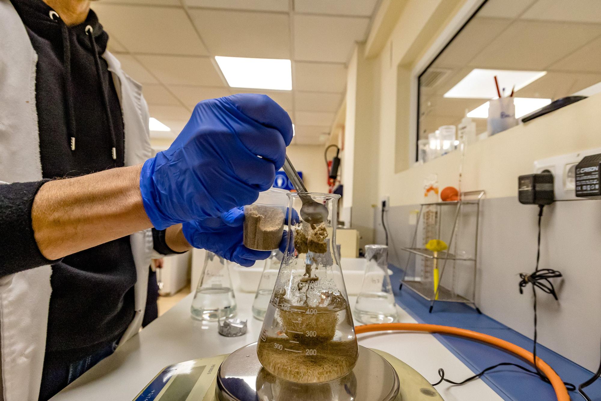 Benidorm analiza semanalmente en su laboratorio el agua de sus playas, la arena y los lavapiés para garantizar su calidad.