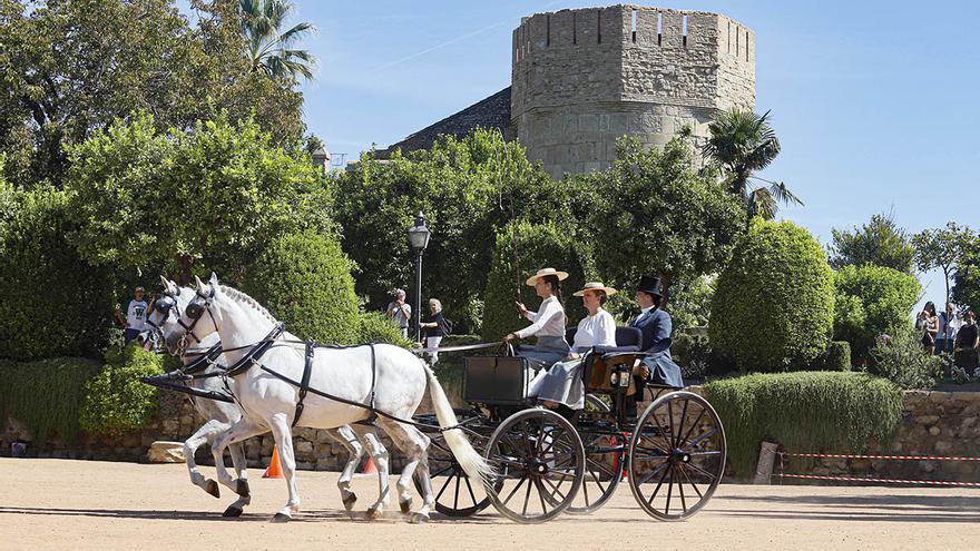 Veintiún carruajes participan este sábado en el concurso de atalaje de Córdoba