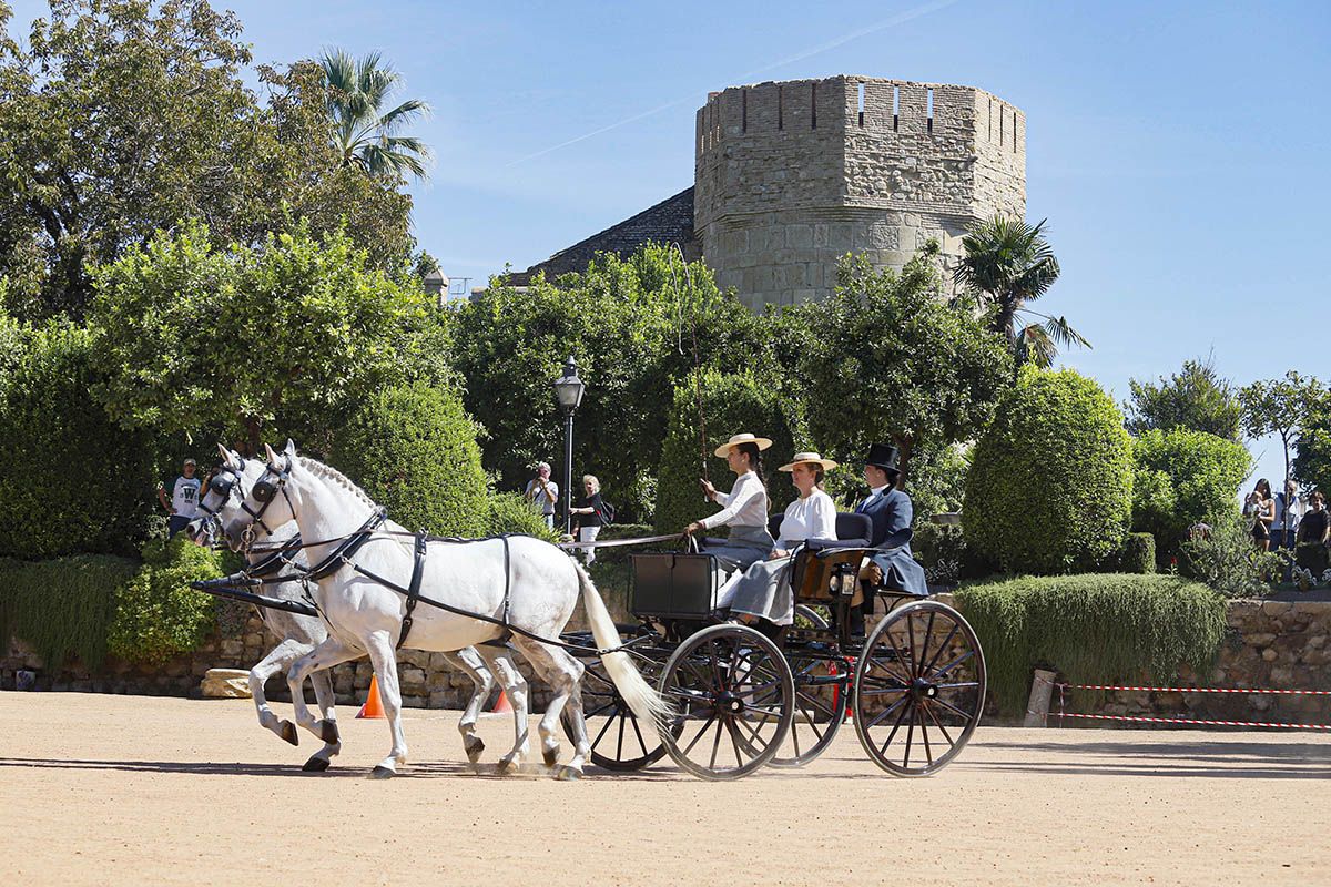 Concurso de atalaje de Córdoba en Cabalcor