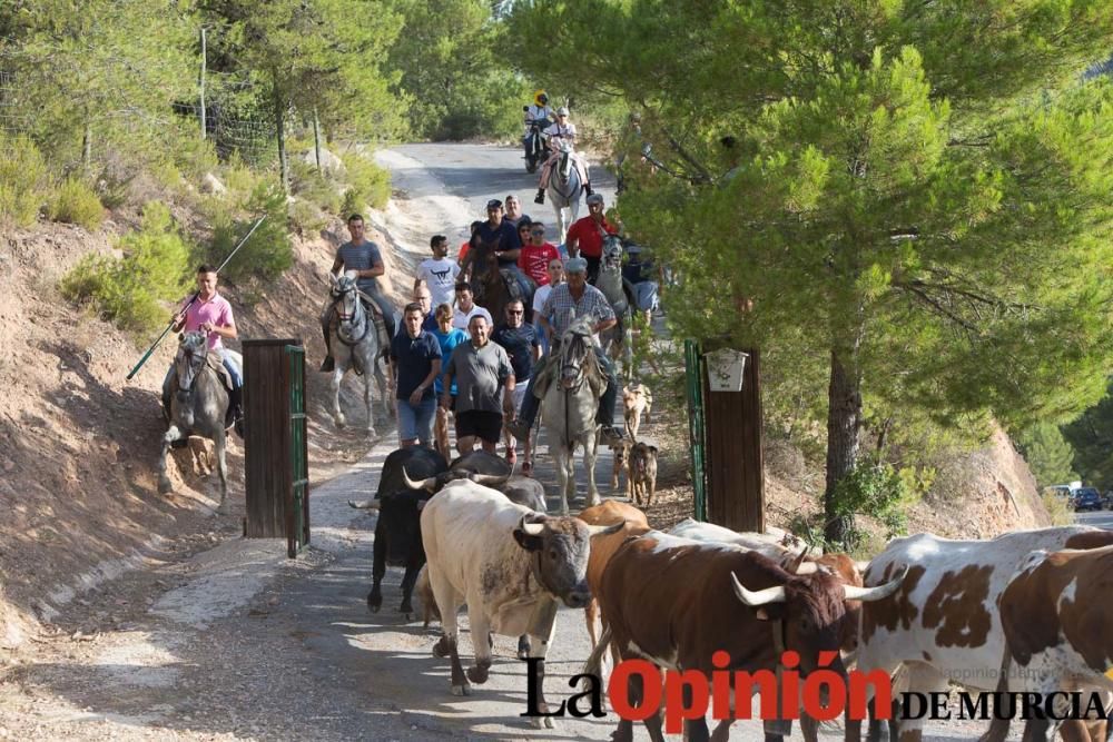 Vereda en Moratalla