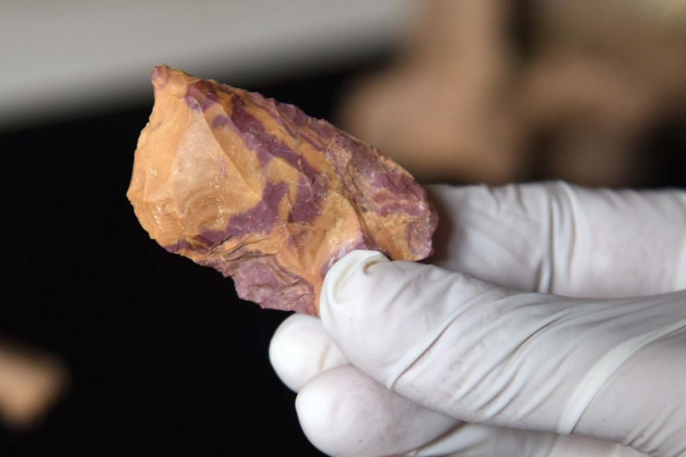 Fotos de la campanya d'excavacions d'enguany a les coves de les Teixoneres de Moià. S'hi han trobat tres dents de neandertal, una d'adult.
