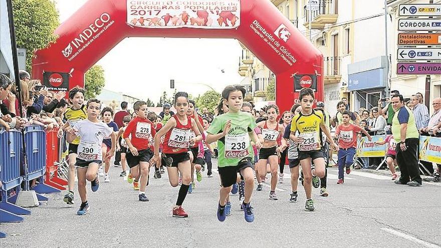 Nuevo éxito de la Carrera Popular Nocturna «María Auxiliadora» - Diario  Córdoba