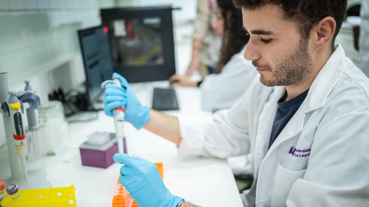Un joven investigador trabaja en la Universidad de La Laguna.