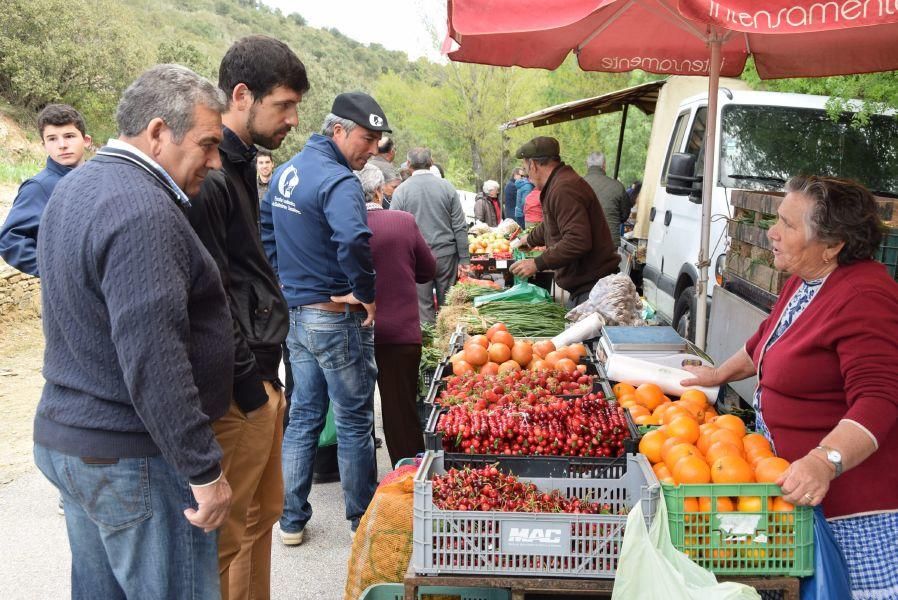 Romería de la Petisqueira