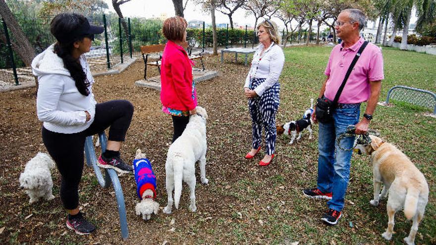 El Ayuntamiento abre una nueva área para perros en el mirador de La Minilla  - La Provincia