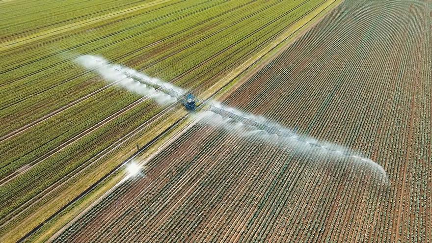 Feragua asegura que la lluvia &quot;no se ha notado casi nada&quot; en los embalses