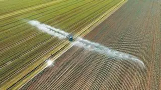 Feragua asegura que la lluvia "no se ha notado casi nada" en los embalses