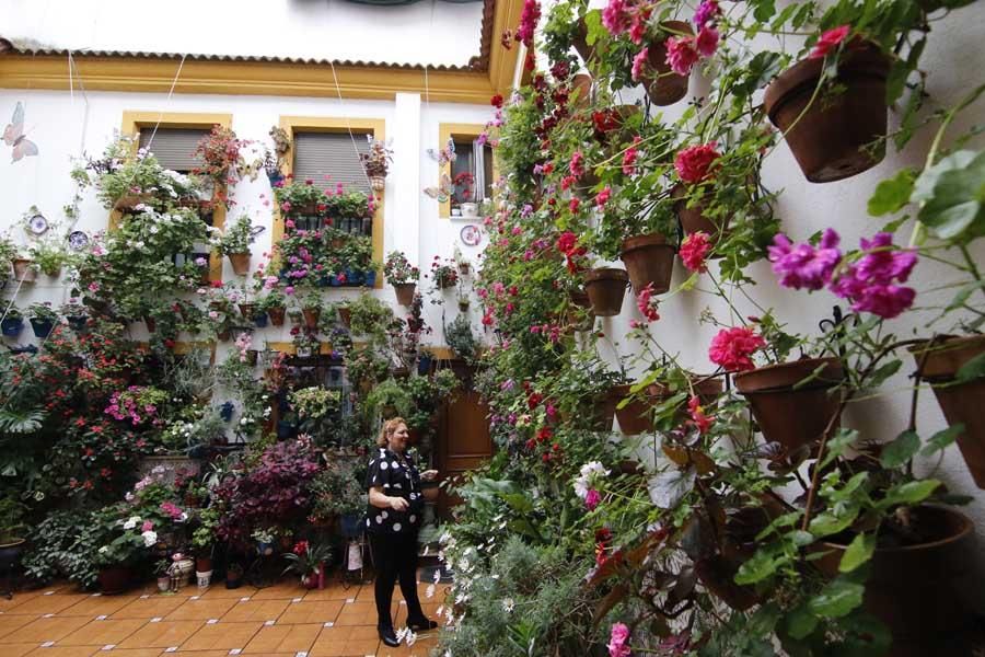 Los patios de Córdoba, San Lorenzo San Rafael