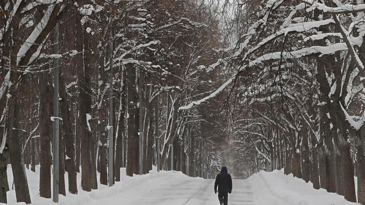 Un paseo nevado en Moscú.