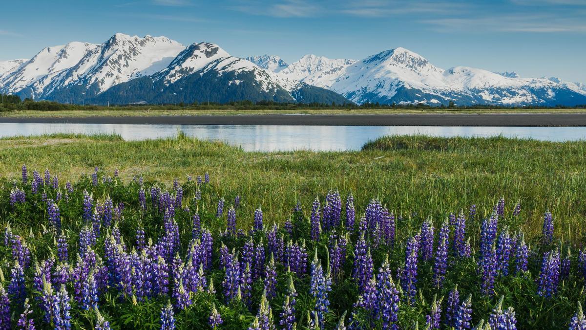 Bienvenidos a uno de los lugares más escénicos del mundo: Anchorage.