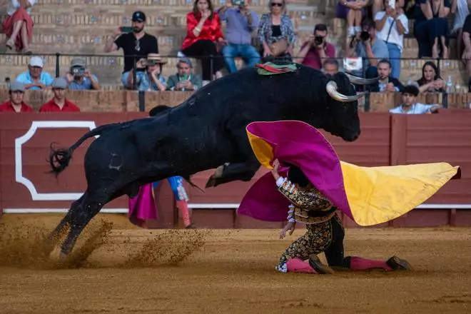 Fotogalería: Calerito triunfa en la Maestranza