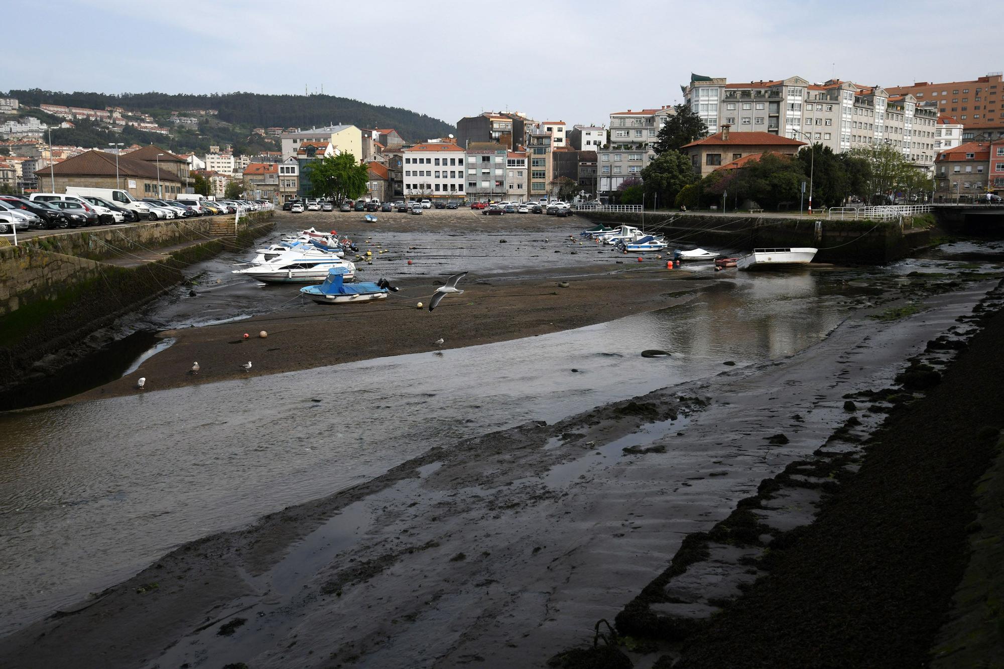 Caminando por el Lérez: las mareas vivas destapan el lecho del río