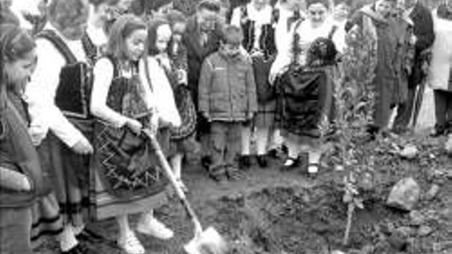 Los ecologistas reclaman más apoyos para la Fiesta del Arbol