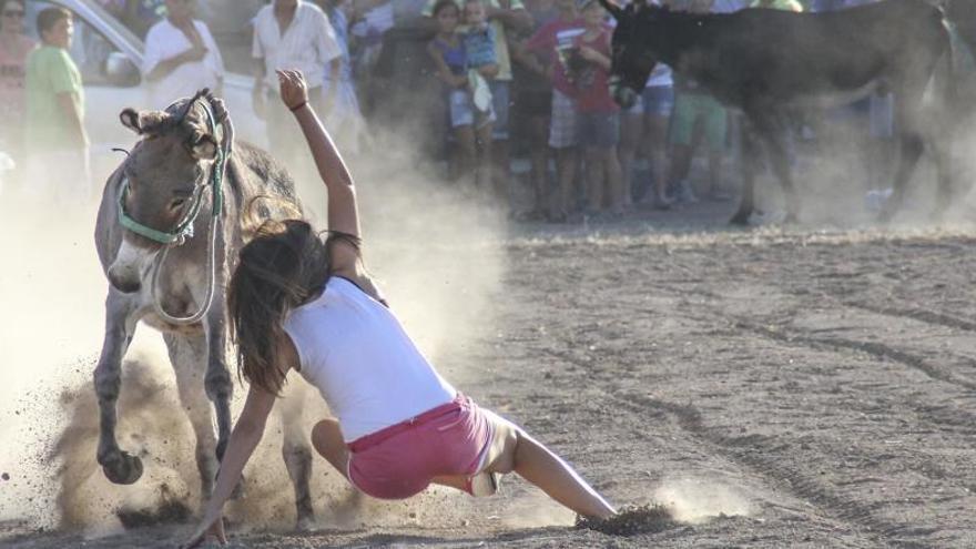 El Ayuntamiento cancela la carrera de burros de fiestas