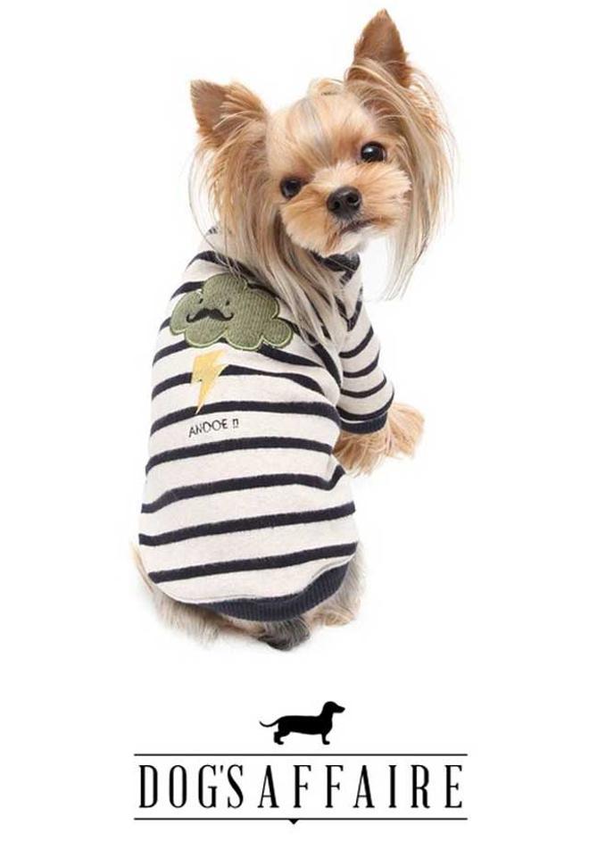 Estas navidades pon a punto a tu mascota en Dog's Affaire