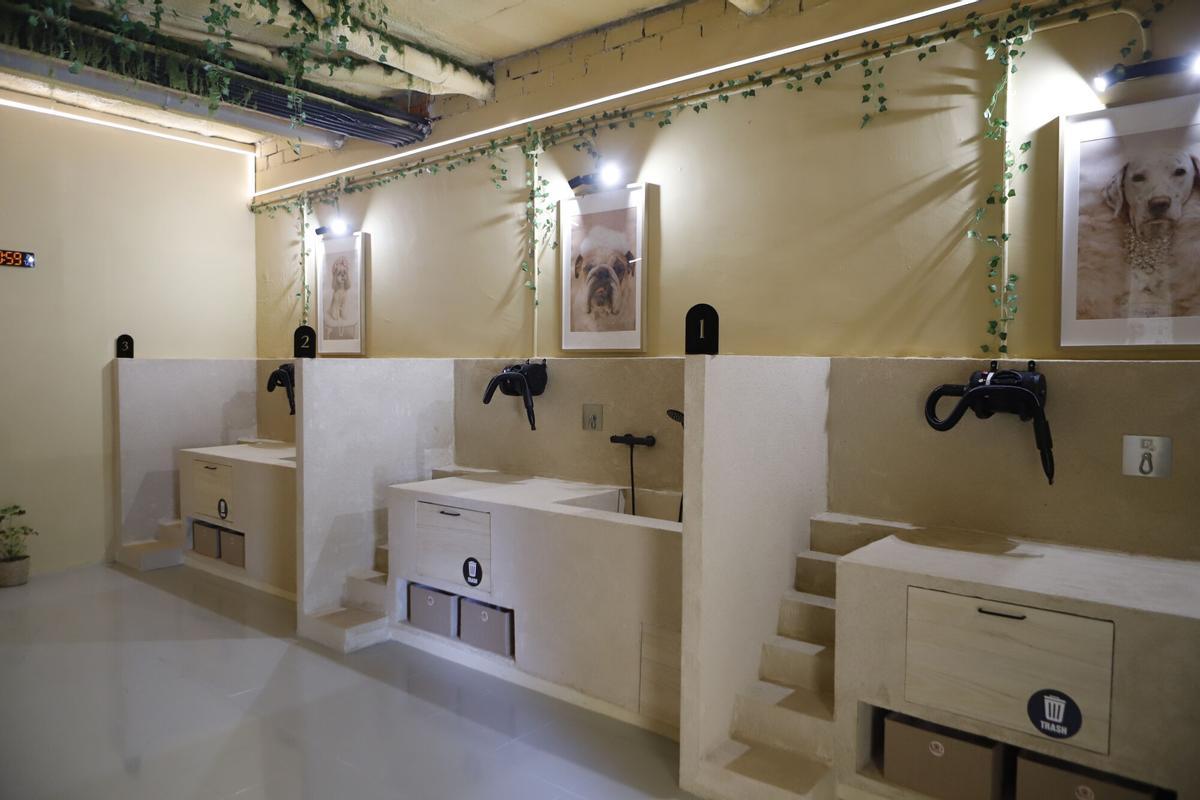 El negocio tiene una decoración minimalista para que tanto humanos como mascotas puedan desconectar
