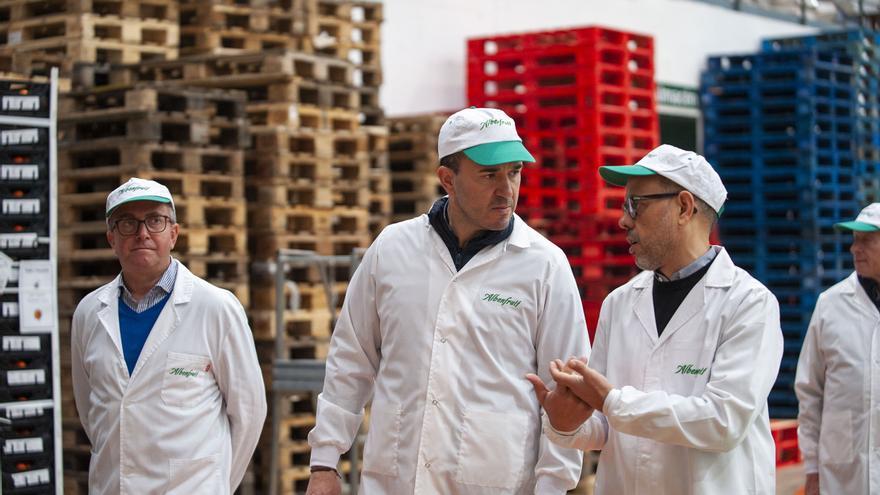 Mompó y AVA visitan las naves de Albenfruit en Algemesí