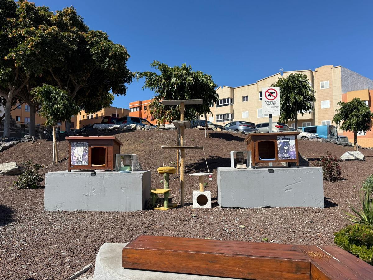 El refugio de gatos en la Rambla Pedro Lezcano.