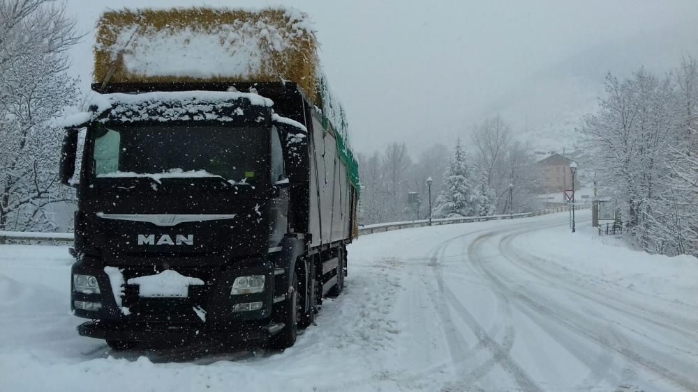 Nevada a la Cerdanya el 28 de gener