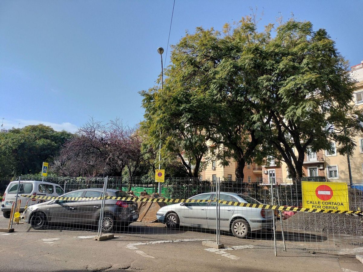 Árboles en los jardines Manuel Ferrand en las obras de la calle Juan Sebastián Elcano de Sevilla