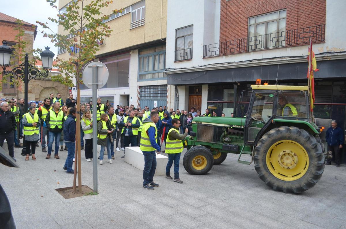 GALERÍA | La concentración de agricultores y ganaderos ante los juzgados de Benavente, en imágenes