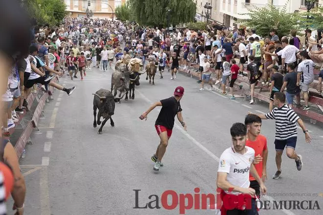 Las reses bravas de la ganadería de Victorino Martín cierran las fiestas en honor al Cristo del Rayo en Moratalla