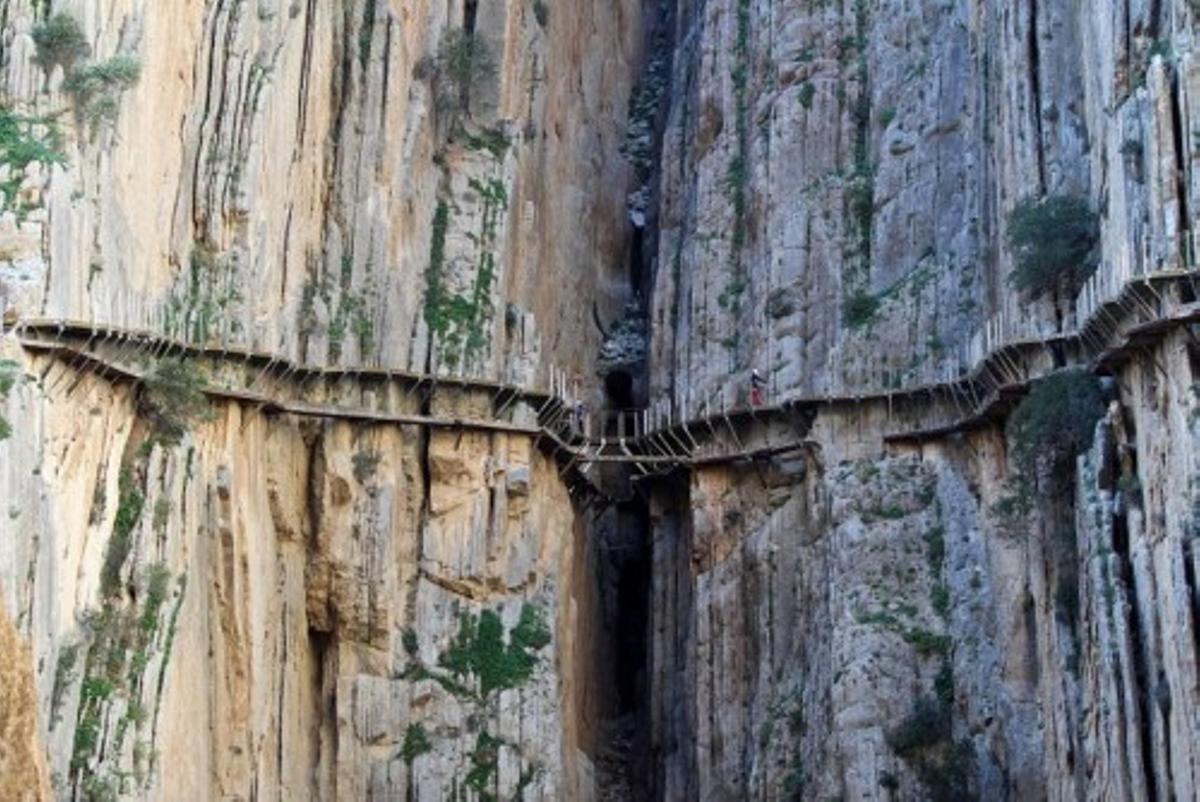 ctv-ppt-arc 206949 g