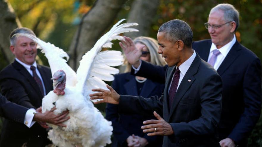 Obama sirve el pavo a los veteneranos de guerra