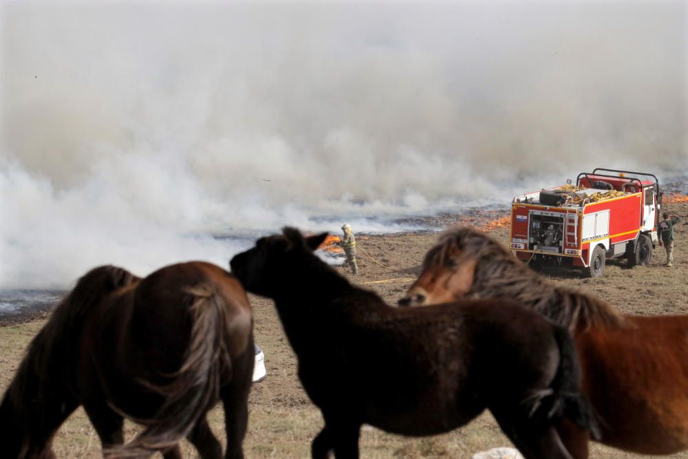 Incendis a Galícia