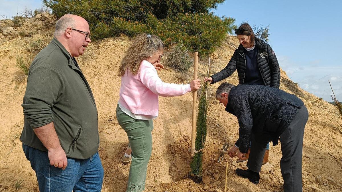 El consejero Blasco, durante la plantación de forma simbólica de un pino carrasco, este jueves en Valdealgorfa.