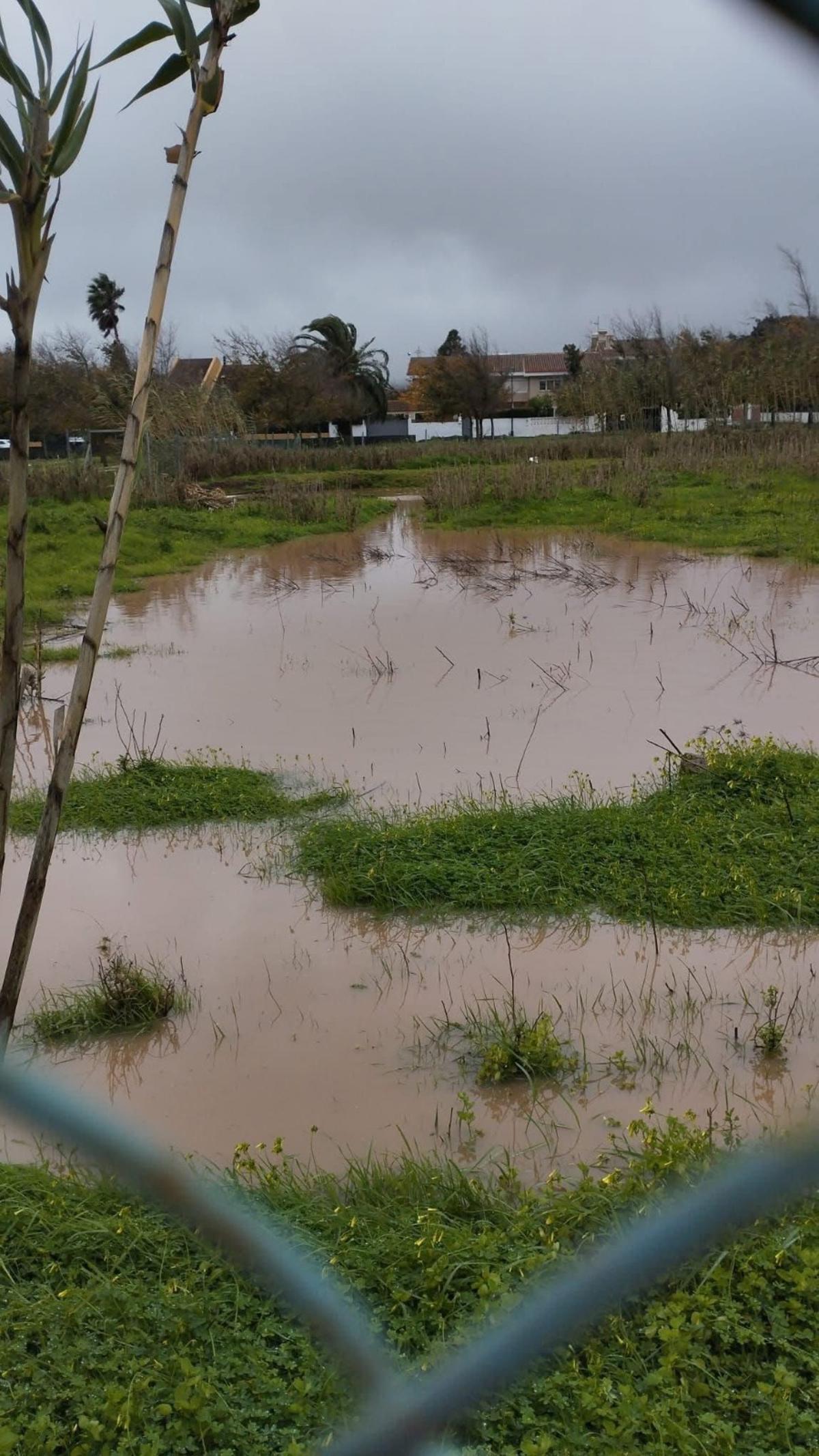 La cantidad acumulada es equiparable a unas 5.000 piscinas olímpicas.