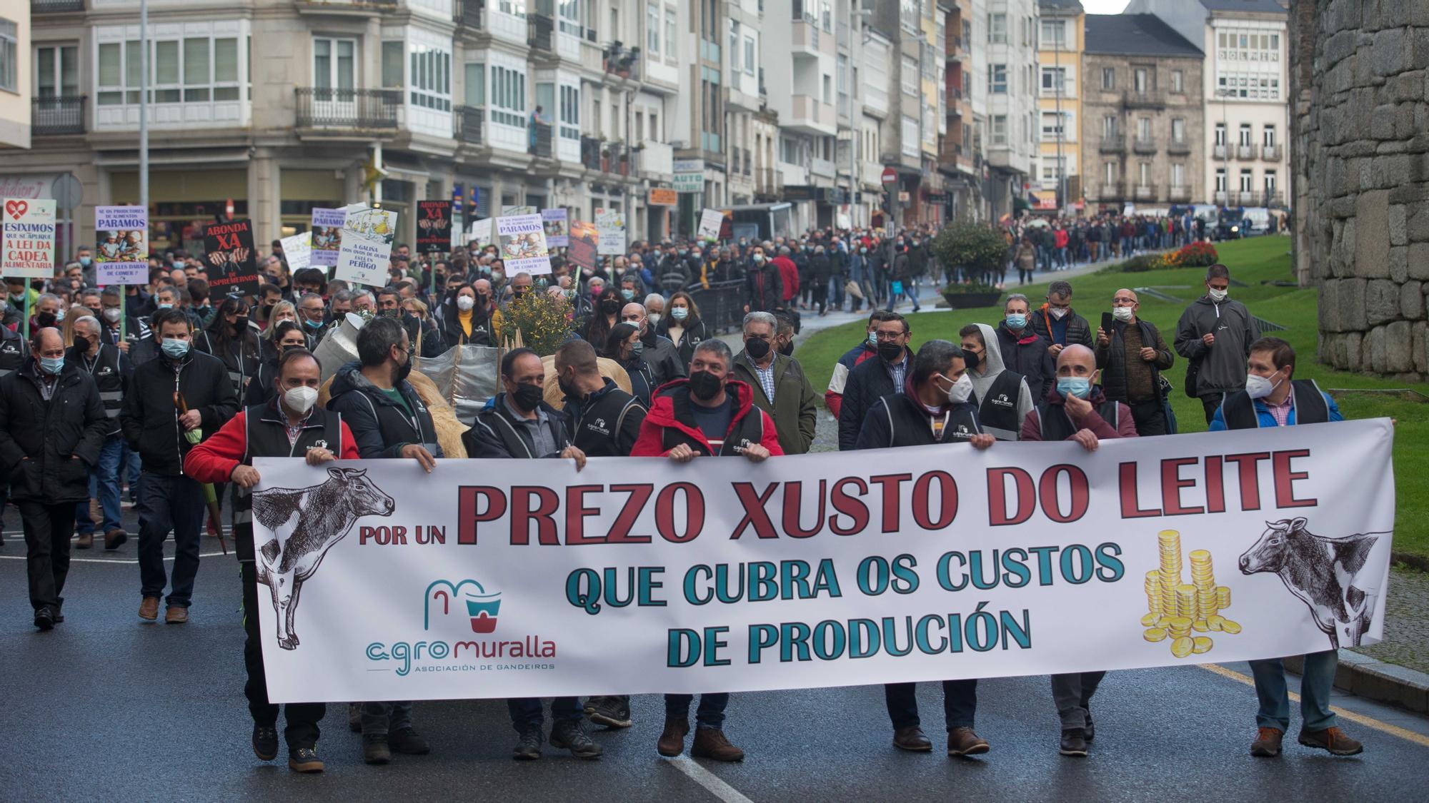 Más de 1.000 personas y 22 tractores participan en una tractorada convocada por Agromuralla en Lugo para exigir mejor precio de la leche, a 4 de noviembre de 2021, en Lugo, Galicia (España). La tractorada ha sido convocada para exigir un mejor precio de la leche, denunciar la subida de los precios de la luz, del gasóleo o de los piensos que ahoga al sector ganadero y puede provocar el cierre de 7.000 explotaciones. La protesta ha salido del edificio administrativo de la Xunta y ha discurrido por las calles del centro hasta la Subdelegación del Gobierno. La caravana de tractores permanecerá todo el día estacionados en la Ronda da Muralla, a modo de protesta. 04 NOVIEMBRE 2021;LECHE;GANADEROS;TRACTORES;GANADERIAS;LUZ;ANIMALES;PIENSO;PROTESTA;SUBIDA Carlos Castro / Europa Press 04/11/2021