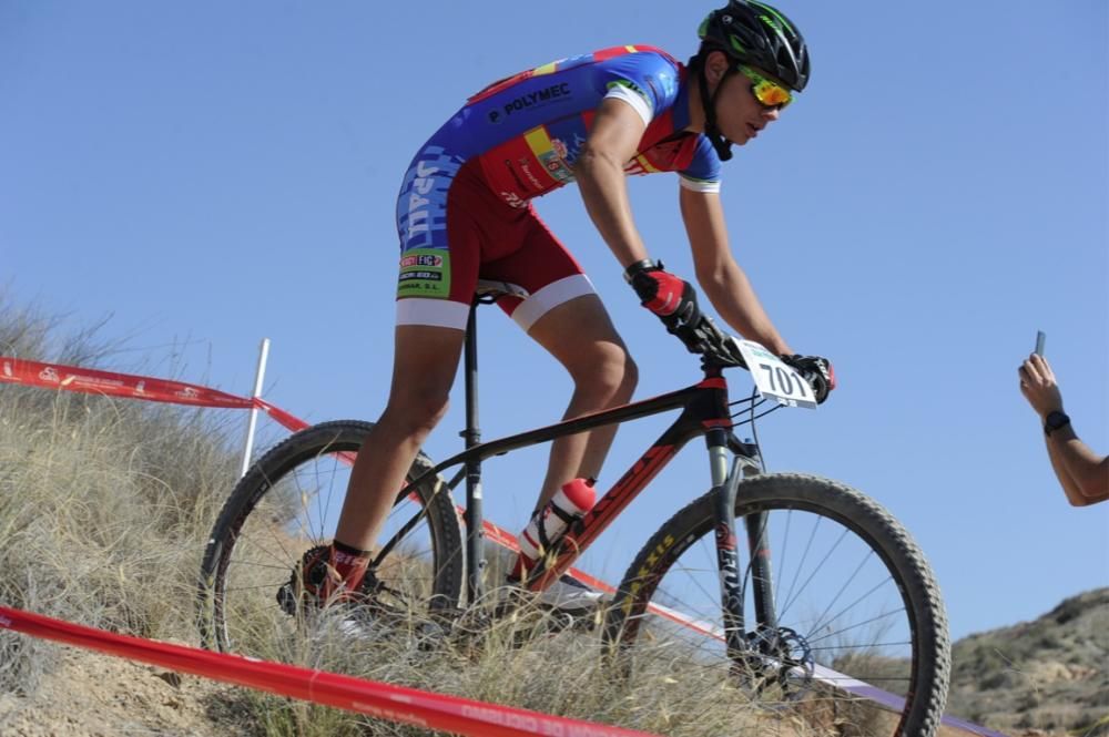 Mountain bike en Molina de Segura