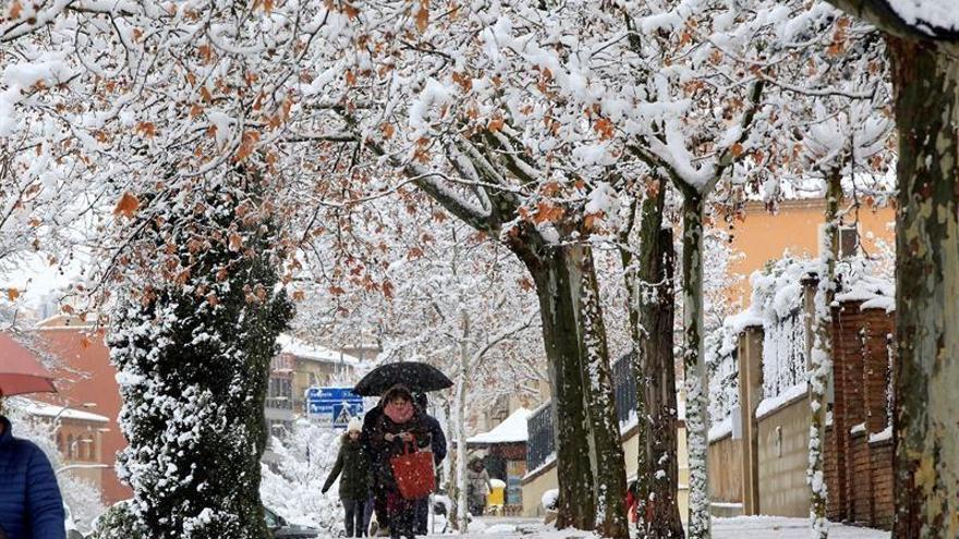 Los agricultores aragoneses reciben reconfortados las nevadas tras larga sequía