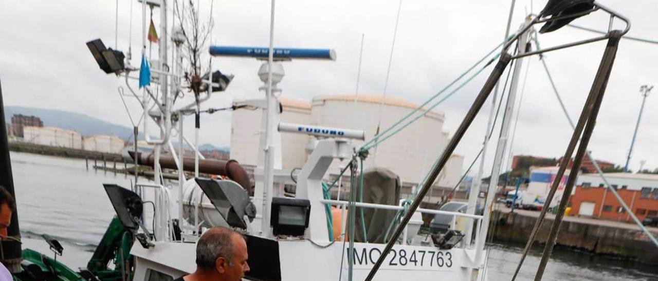 Descarga de bocarte en el muelle de Rendiello, ayer.