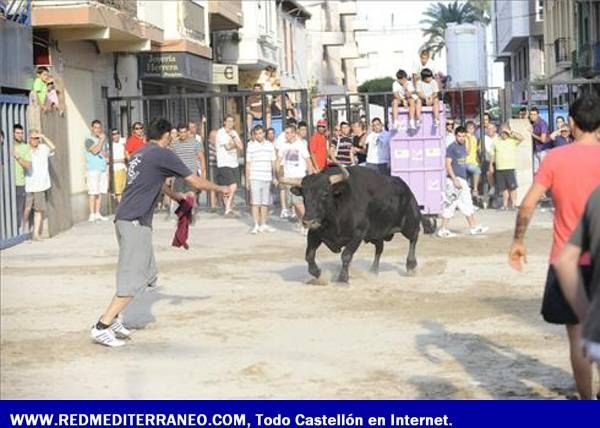 LOS TOROS ASEGURAN LA DIVERSIÓN EN LAS FIESTAS DE SANT PERE