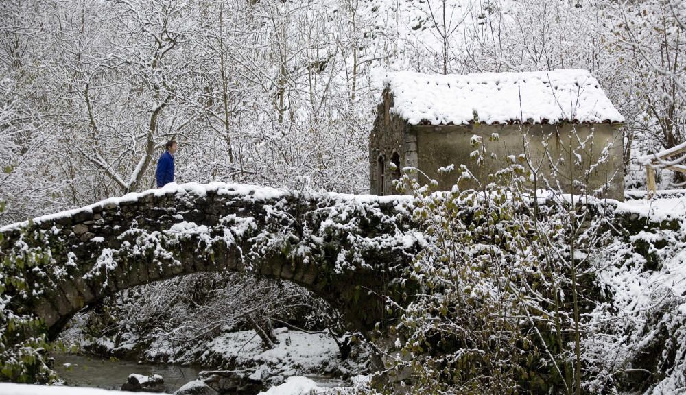 NEVADA EN LOS PICOS DE EUROPA