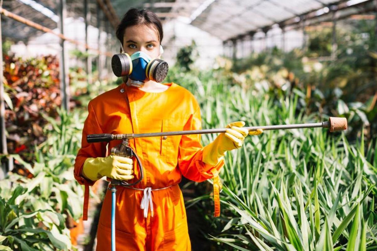 La realitat dels pesticides