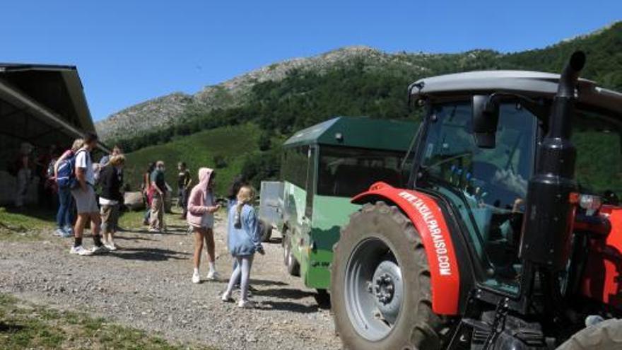 El verano de la recuperación: el turismo vuelve a niveles previos a la pandemia