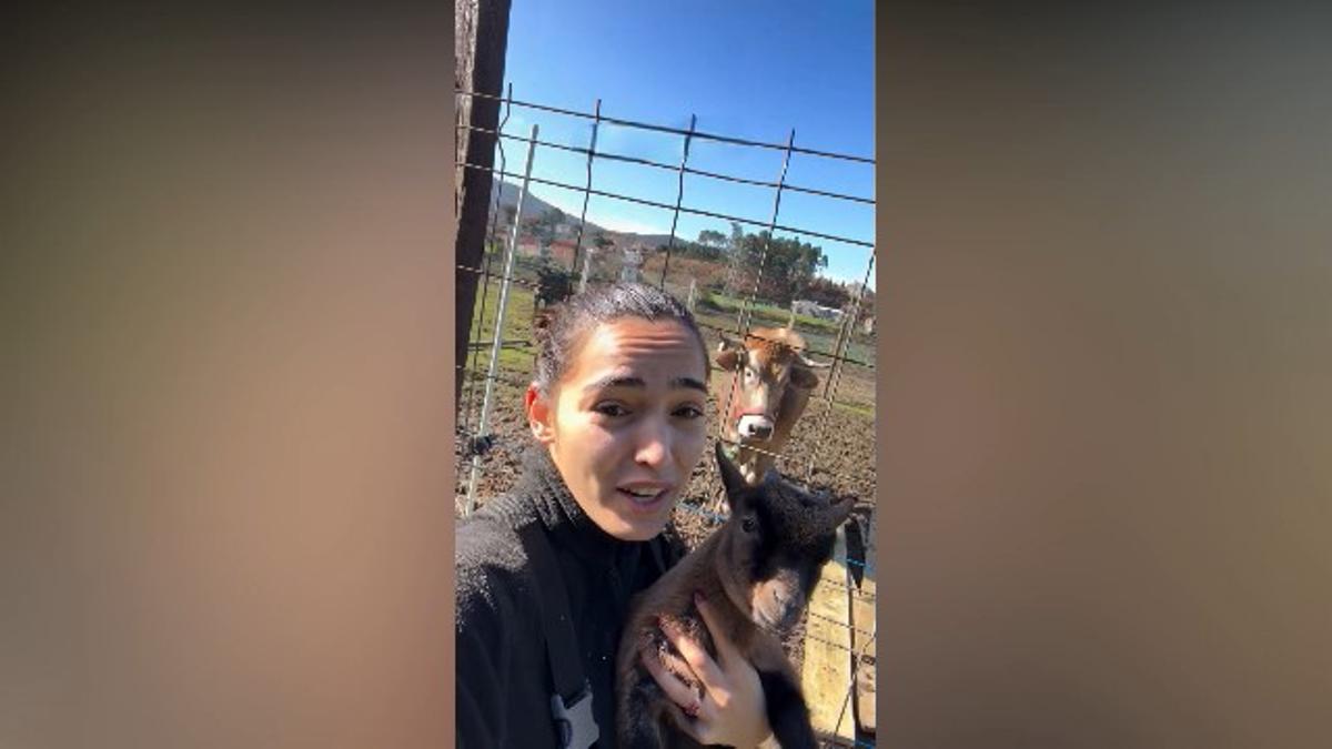 Pulgarcito con la vaca Fariña.