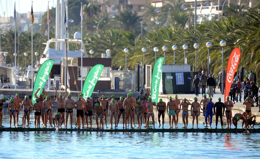 Weihnachtsschwimmen Mallorca Palma 2016