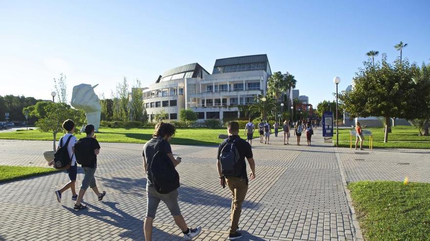 Marketing, Relaciones Internacionales y Gastronomía y Artes Culinarias, nuevos grados de la Universidad de Alicante